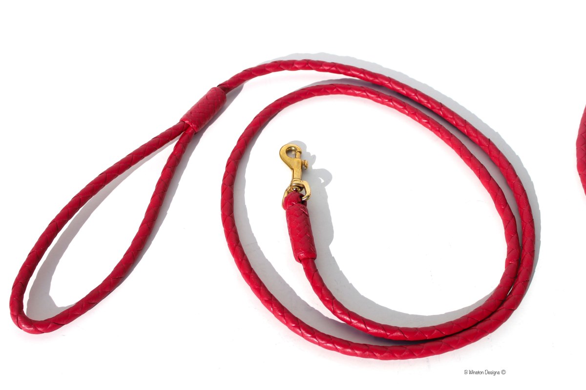 B. Winston Collection: Hand Braided Leather Pet Leashes